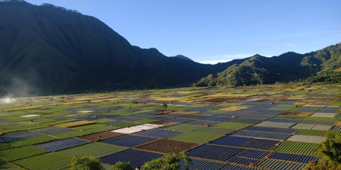 Rinjani Hill Hotel サンバラン・ラワン エクステリア 写真